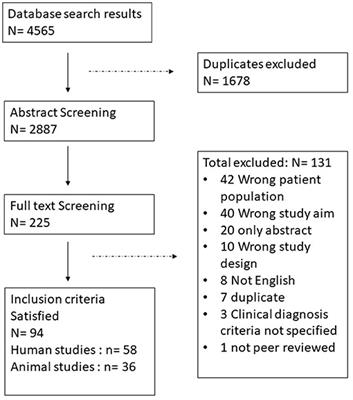 A Systematic Review of Brainstem Contributions to Autism Spectrum Disorder